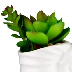 B&M Scandi Shore Small Shell Succulent 16 B&M Scandi Shore Small Shell Succulent -B&M 380110 small shell succulent 2