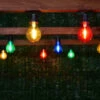 Eveready Mains Powered LED Bulb String Lights 20pk - Multicolour -B&M 392913 eveready 20 mains operated multi colour bulb string lights 2